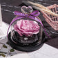 Eternal Glow Rose