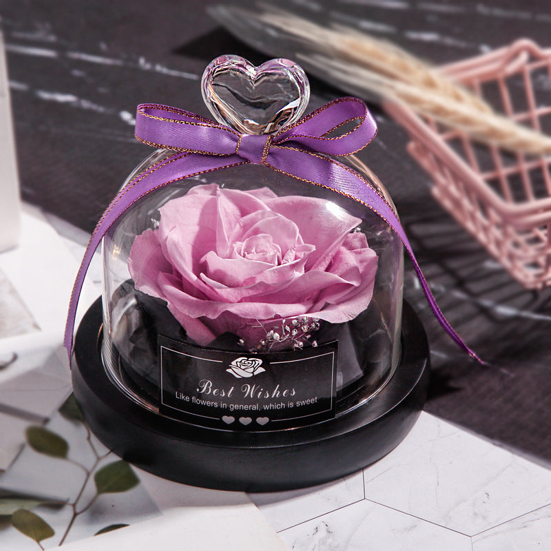 Eternal Glow Rose