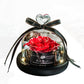 Eternal Glow Rose