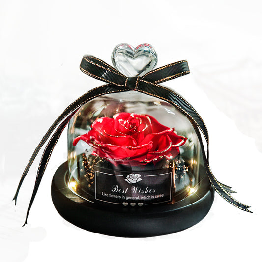 Eternal Glow Rose