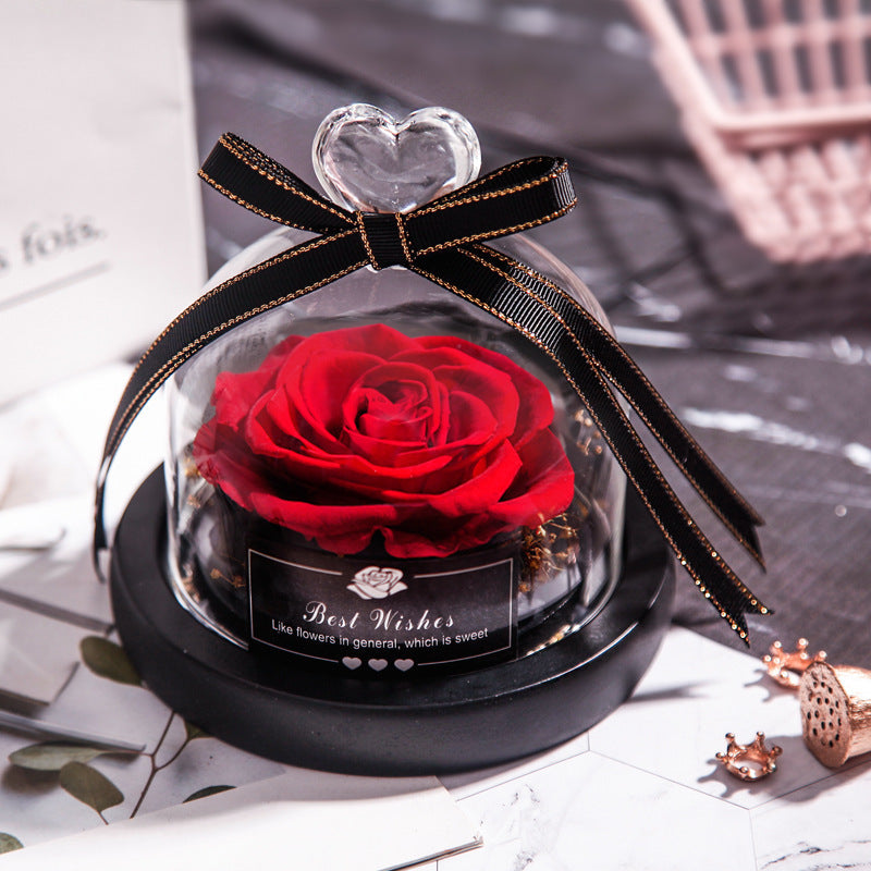 Eternal Glow Rose