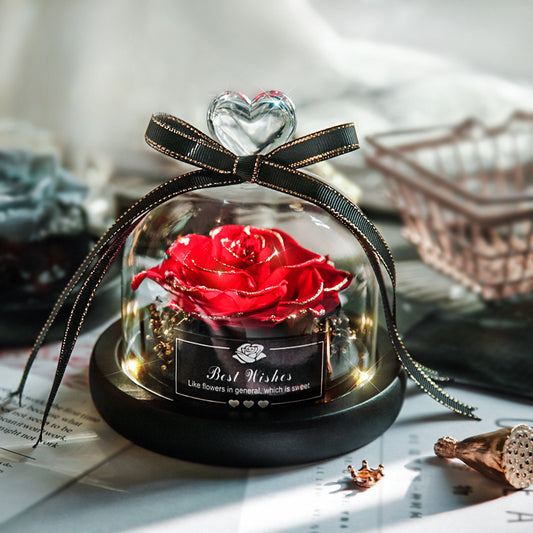 Rote konservierte Rose unter Glashaube mit Schleife als romantische Geschenkidee für besondere Momente