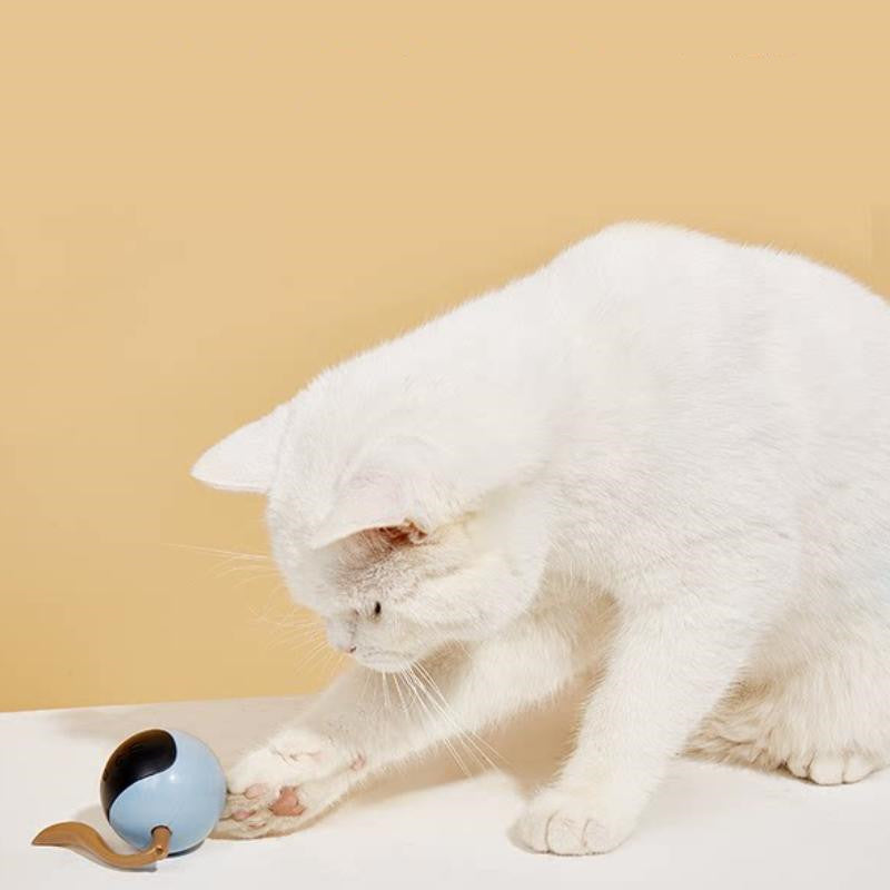 Modernes Haustier-Spielzeug für Katzen und Kätzchen