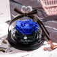 Eternal Glow Rose
